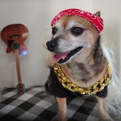 VeyronVicki's profile picture. 
