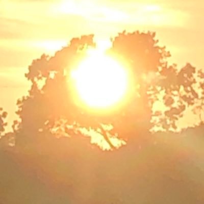 ❤️Woke Free Zone✊🏻✊🏻✊🏻 No NWO No WEF No WHO.. just Me & You❤️❤️❤️