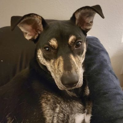 JasonS67235's profile picture. 