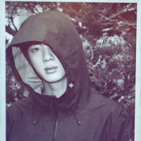 Alice 🐹 (@alzadamson) 's Twitter Profile