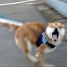 俺の名は!駆け出しの!ビュンビュンビュンビュンビュンビュン!!!ビュンビュンビュンビュンビュンビュン!!!ビュン!!ビュンビューン!!!ビュンビュン!!ビュンビュンビュンビュン!!!!!ビュビュンビュビュンビュン!!!!!ビュンビュンビュンビュンビュンビュンビュンビュンビュンビュンビュンビュンビュン!!!!!!!!!!