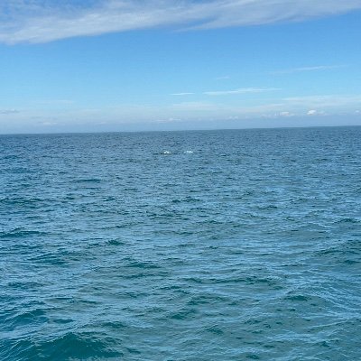 Eepieradri's profile picture. 21 years old