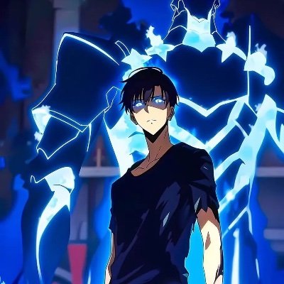 Gamer, Solo Leveling fan, tech lover. Would be into cars more if I could drive /sad