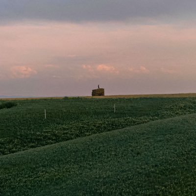 freemanzt_'s profile picture. 