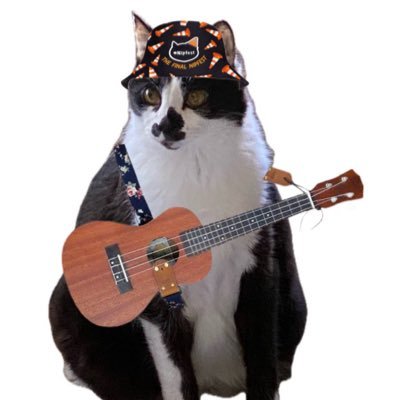 Francis Albert is Chief Catte, purroud memfur of #EdibleCatsClub & #Hedgewatch! Chaircat of the Bored. Plus our doggos Maggie & Mikey. All rescues. (+ Momb)