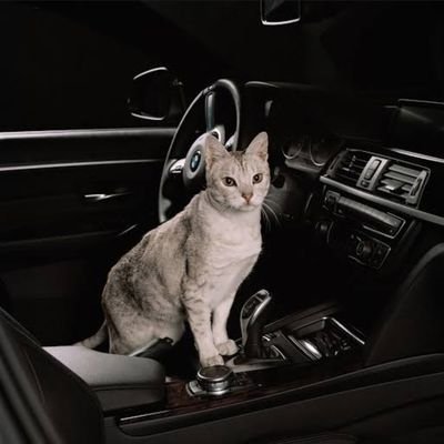 Ashxxi's profile picture. 