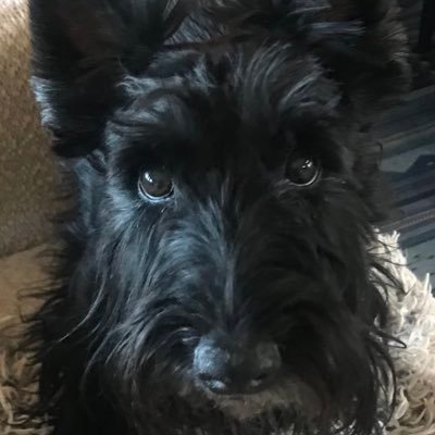adobe_az's profile picture. Strong, smart, intelligent.  That’s what my Mom says.  I spent my pharmacist career working to help improve population health, in my own small way.
