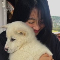 ☁️ (@softablume) 's Twitter Profile