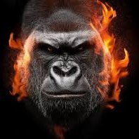 MocherePaul's profile picture. YOUNG BUT RICH