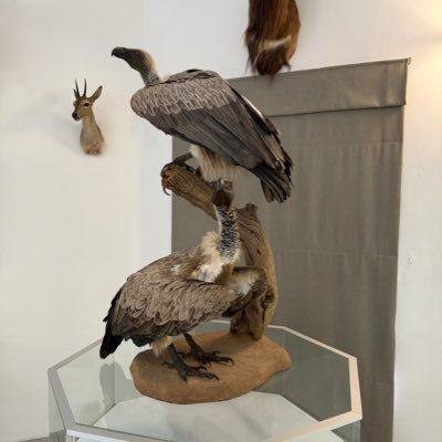 dvilliers7's profile picture. everything that pertains to life