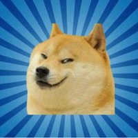 ShaZacK (@shazackx) 's Twitter Profile Photo ShaZacK (@shazackx) 's Twitter Profile Photo