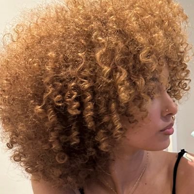 tahitibob Profile