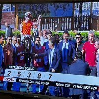 Deniz Gök (@denizgk1829738) Twitter profile photo