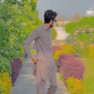Mojushah05's profile picture. 