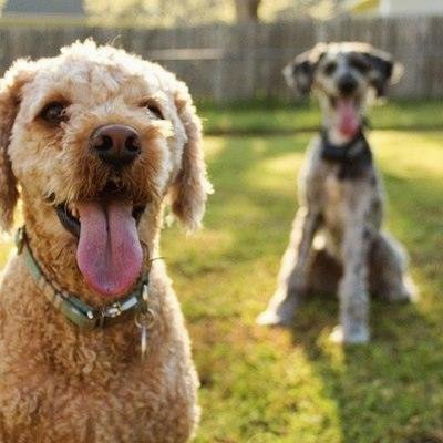 sid794622049836's profile picture. 🌈 Optimist | Problem solver | Human being trying to help