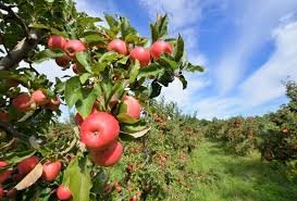 mrym348963's profile picture. الله الرزاق ذو القوة المتين