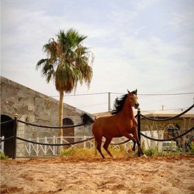 8MO_24's profile picture. 