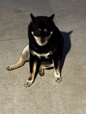 jeanine617347's profile picture. 