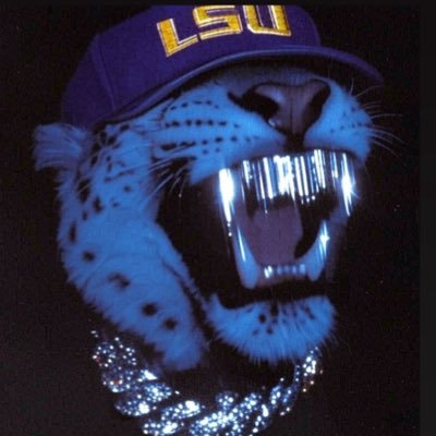 Uproar_U's profile picture. I never talked to them boys that sat on them benches, I was in the game on fourth and inches #Geauxtigers #Gopackgo