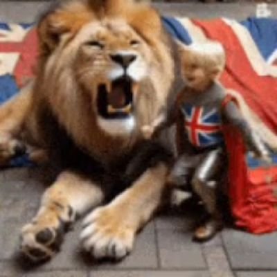 ZZcatlover's profile picture. 🇬🇧 Mum, Wife, Politics.Retweets are not endorsements...
Support citizen journalists. Mainstream media are lying.