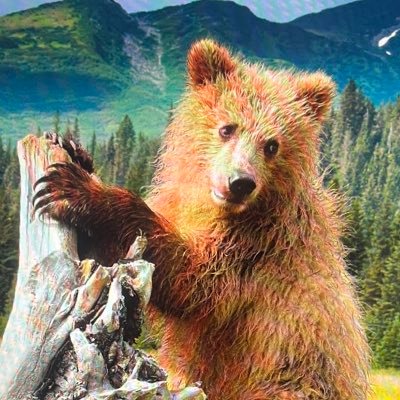 bearbbles's profile picture. If I see it, I like it. Satire account of someone who thinks the government is going a really great job 👏🏼