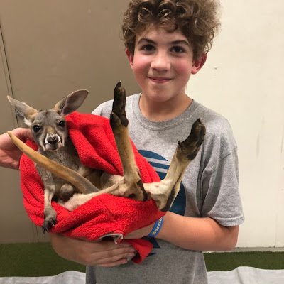 GoGamingSimy's profile picture. 