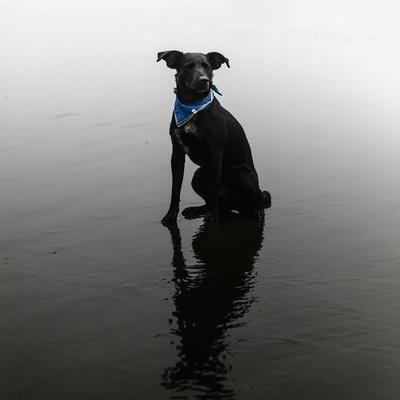 JaniduKavishka7's profile picture. 🚀 Building the future, one idea at a time | Always learning