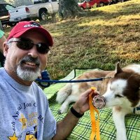 John Andrew (@johnandrew8738) 's Twitter Profile