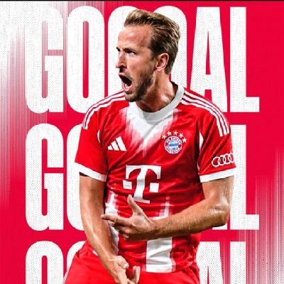 BayernChileFan's profile picture. Fanático del Bayern Fútbol Club. #MiaSanMia #Chile