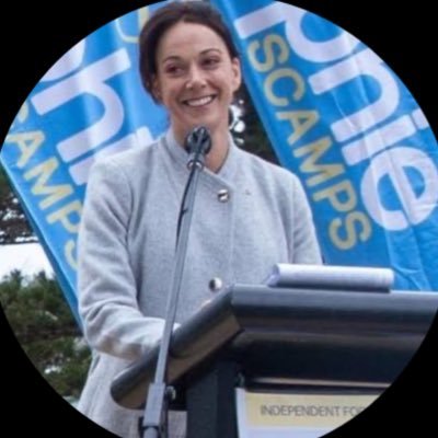 Independent Federal Member for Mackellar. Technology Optimist. Board Chair and Tesla Shareholder Working to make the world a better place and community.❤️