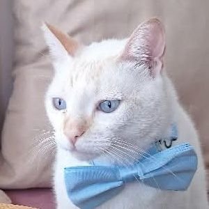 nothing_much103's profile picture. 