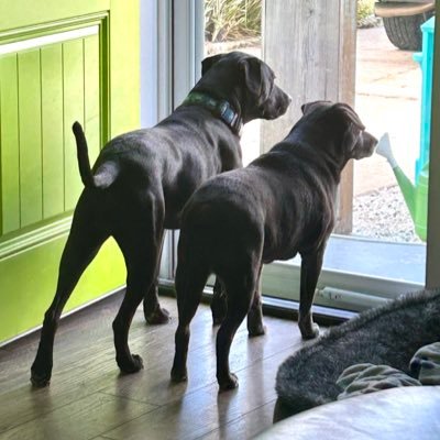 ScottDice08's profile picture. 