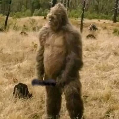 RodneyAlle95625's profile picture. Diamond balls