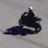 SSdLops's profile picture.