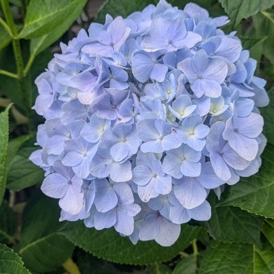 ohitama0707's profile picture. 絵本と絵、本を通して繋がる場をつくりたい
都内で「大人のための絵本の会」を開催中
シェア型書店ほんまる神保町「おひたま」「OHITAMAギャラリー」棚主、絵本セラピスト、AMCアドバンスコーチ、キャリアコンサルタント、コトウラファンサポータ―（鳥取県琴浦町）