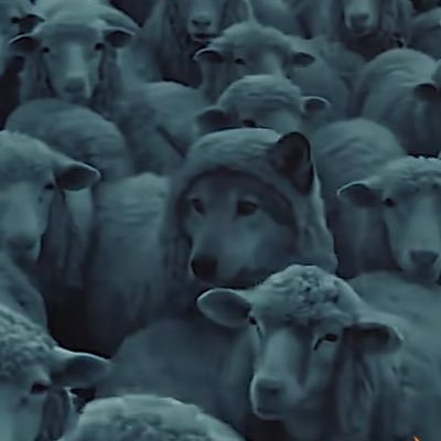 CcamposM2022's profile picture. Litigar y leer mucho