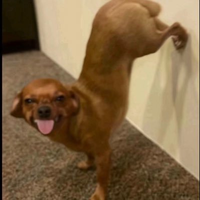 okayperioddown's profile picture. well