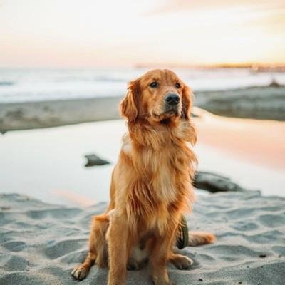 ⚡ Passionate about making a difference | Let's connect!