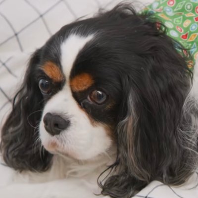 siki2046HI's profile picture. コーヒー好きです 日常生活記録 生存証明?(笑