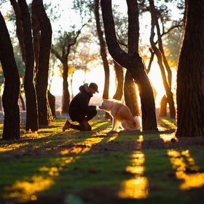 mac20580's profile picture. 🔥 Chasing excellence daily | Building something amazing