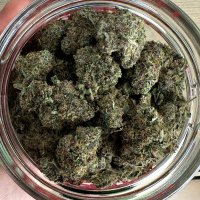 Kobeskitree π (@kobeskitree) 's Twitter Profile