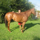 felipe claro - @felihorex - Twitter