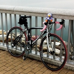埼玉を愛するポタリスト。
ちょっと本格的な自転車を、カジュアルに颯爽と乗りこなしたいです。