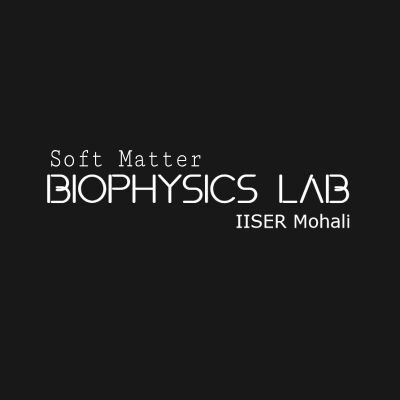 Soft Matter Biophysics Lab @Iisermohali . We work on understanding membranes.
Page managed by Lab members. Biophysics | Membranes | GUVs. PI: Dr. Tripta Bhatia