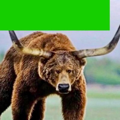 XxBULLISHxX's profile picture. 