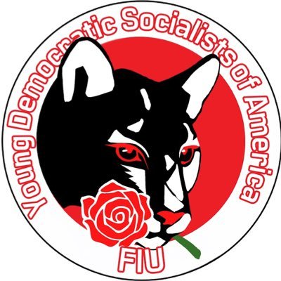 🌴🐊 The @YDSA_ chapter at Florida International University • contact us: fiuydsa@gmail.com • DM to join our Discord ✊
