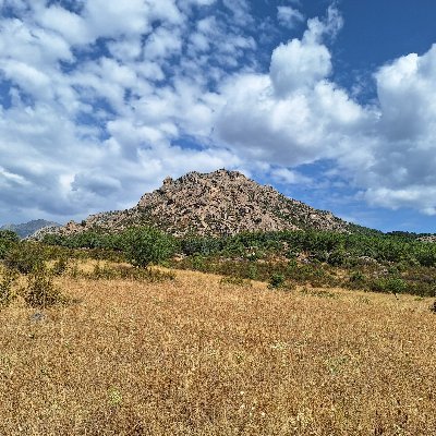 Yingzi16888's profile picture. 