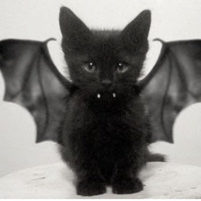 c0conutwat3r's profile picture. new to #edtwt 
 18
5'2 
bmi 30
★ cw: 201lbs gw:120lbs