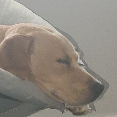 higherintexas's profile picture. 