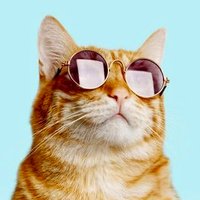 yadamango (@yadamango3) 's Twitter Profile